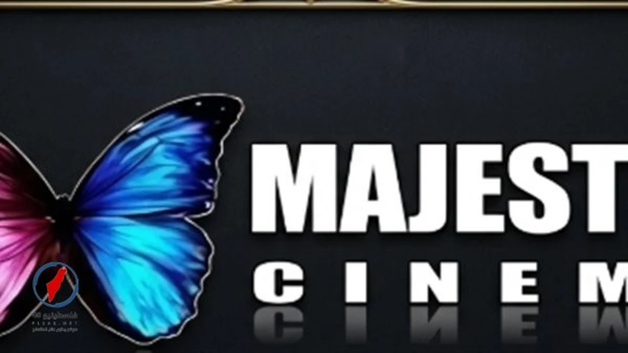 تقنية ثلاثية الأبعاد وفواصل محدودة في تردد قناة ماجستيك الجديد للمشاهدين